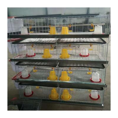 China Automatic Poultry Field Pullet Baby Chicken Battery Brooder Pullet Raising Cage System for sale