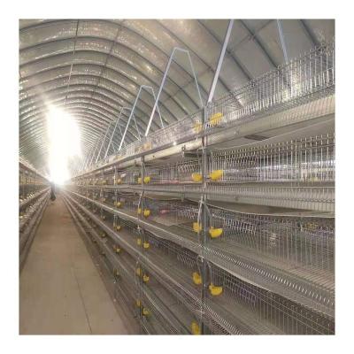 China Easy Install Most Popular Automatic Quail Cage High Quality Quail Egg Cage for sale