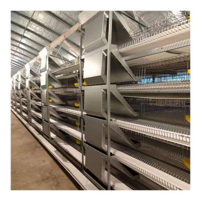 China Easy Install Quail Farm Equipment 6 Layer Cage 200-300 Breeding Cages Commercial Quail Cages for sale