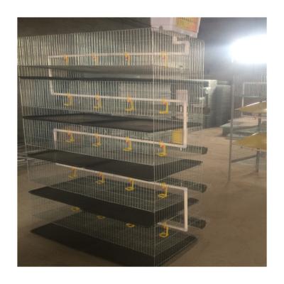 China Poultry Field Quail Breeding Cage H Type Battery Layer Quail Cage For Sale for sale