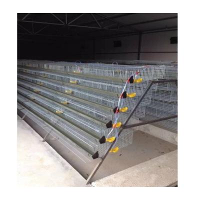 China Farms Quail Farm Equipment Layer Quail Cage 200-300 Quail Breeding Cage for sale