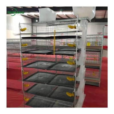 China Farms Factory Low Price Automatic Galvanized Wire Poultry Quail Cage For Sale for sale