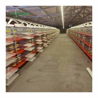 China Easy Install Design Quail Equipment Good Quality Five Rows H Type Automatic Quail Cage for sale