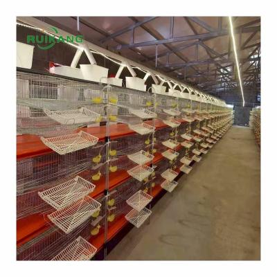 China Easy Install Indoor Breeding Quail Cage Galvanized Encryption Automatically Collect Quail Eggs for sale