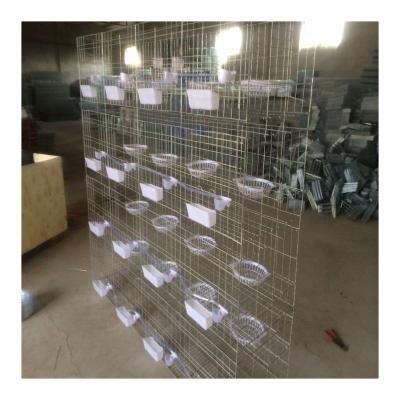 China Easy Install Galvanized Metal Wire Mesh Pigeon Breeding Cage For Sale In Philippines for sale