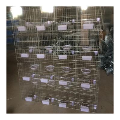 China Easy Install Metal Galvanized Wire Mesh Pigeon Breeding Cage Design for sale