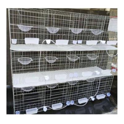 China Farms Layer Cheap High Quality Pigeon Breeding Cage / Pigeon Cage Animal Cage for sale