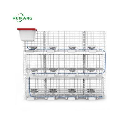 China Automatic Farms Factory Price Galvanized Wire Mesh Pigeon Cages Design For Sale for sale