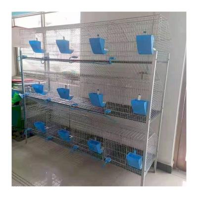 China Hot Save Place Dipped 24 Position Mother And Baby Rabbit Cage Commercial For Rabbit Farming House for sale