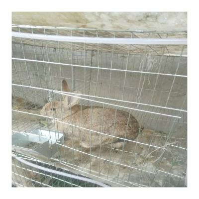 China Safe Place Cheap Rabbit Farming Cages Rabbit Cages Kenya Farm Products Industrial Rabbit Cages for sale