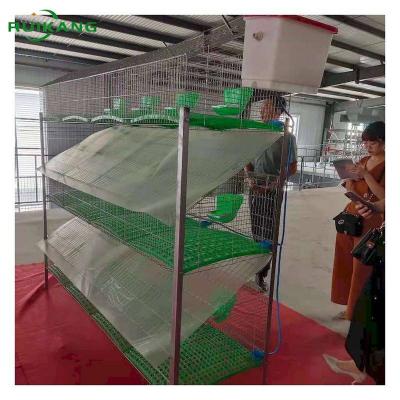 China Safeguard Spot Welded Rabbit Farming Cage 24 Position Mother And Baby Rabbit Cage For Rabbit Factory for sale