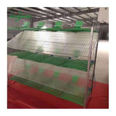 China Industrial Place Rabbit Cage Battery Cage Backup Cage For Rabbit Poultry Farm In Philippines for sale