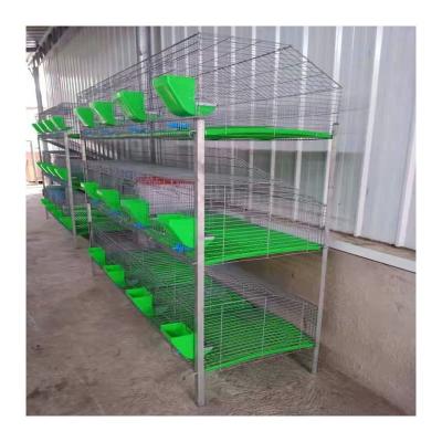 China Safe Place Cheap Rabbit Farming Industrial Cage Cage For Commercial Rabbit Bunny Cage In Malaysia Philippines for sale