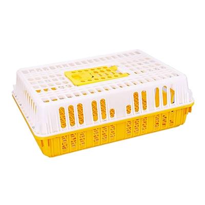 China Factory Supply Direct Stocked Plastic Poultry Transport Cage For Live Chicken for sale