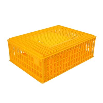 China Stocked Plastic Broiler Chicken Transport Crates Cage For Transportation Of Chicken for sale