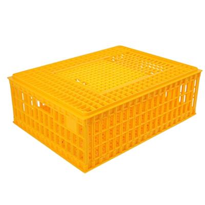 China Plastic Crate Poultry Transport Chicken Stocked Transport Boxes Used For Poultry Cage for sale