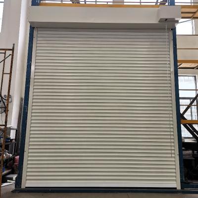 China New Modern Design Insulated Industrial Windproof Metallic Rolling Door for sale