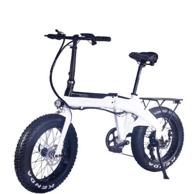 China Professional manufacturer aviation aluminum alloy sophisticated technology 350-1000W racing electric bicycle with wide tires for sale