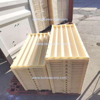 China Plastic Core Drilling nq Size Core Sample Core Tray Box for sale