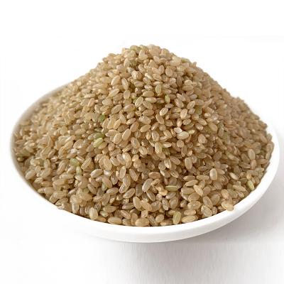 China Wholesale Dry Whole Brown Rice Grains Brown Rice 500g/bag for sale