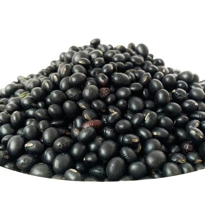 China No Addition High Nutritional Value Black Soybeans With Green Core Inside Black Kidney Beans With Yellow Core for sale