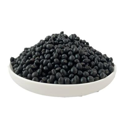 China Newest Cultivation Hot Sale Black Beans Top Grade Dwarf Beans Dried Organic Black Beans for sale