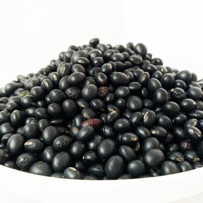 China Dried black mung beans for sale