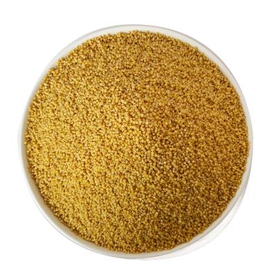 China Top Grade High Quality Yellow Millet Dry Health Food for sale