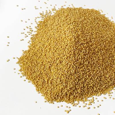 China Yellow Millet Dry Hulled Organic Premium Grade Vacuum Packing Millet for sale