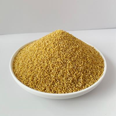 China The dry manufacturer sells high quality and cheap wholesale yellow millet which has good taste and high nutrition for sale