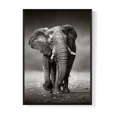 China Abstract Wall Arts Elephant Paintings And Painting With Frame for sale