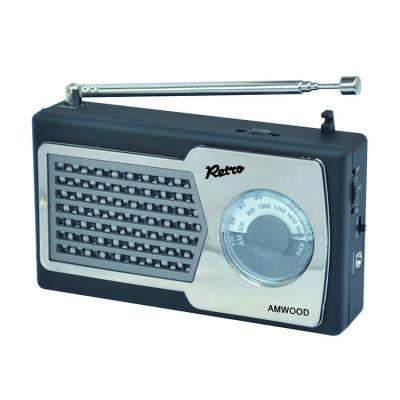 China home fm radio portable mini fm radio AM radio fm digital radio for sale