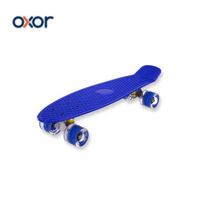 China Colorful Plastic 4 Wheels Plastic Deck Custom Longboard Surf Skateboard for sale