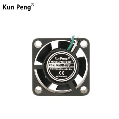 China High Performance Plastic PSC 5v DC Mini Car Fan 2510 With CE & UL For Varied Nacelle Cooling for sale