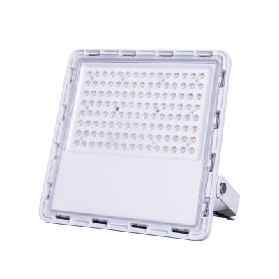 China Outdoor Lighting Sports Stadium New Products 200W IP65 LED Floodlight With Tripod for sale