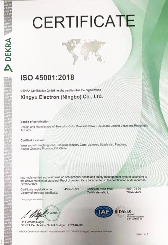 ISO 45001 - Xingyu Electron (ningbo) Co., Ltd.