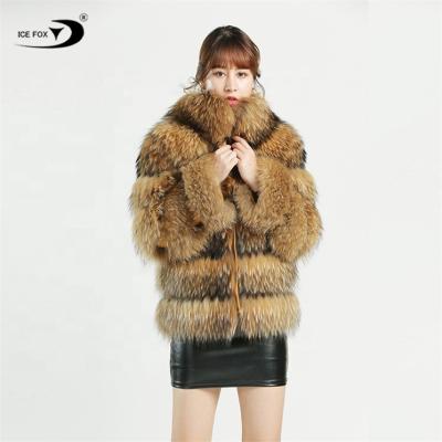 China parride grown real raccoon fur coat women warm winter fur coat Anti-wrinkle real raccoon fur coat women for sale