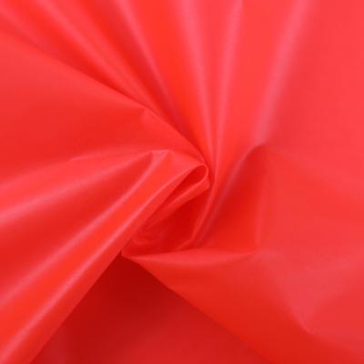 China Waterproof silicone coating 100% nylon waterproof fabric for outwear for sale