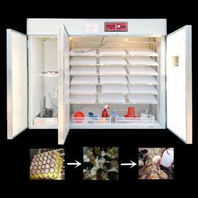 China Fully automatic Digital egg incubator 500 egg incubator/egg incubator hatching machine price/5280 egg incubator controller for sale