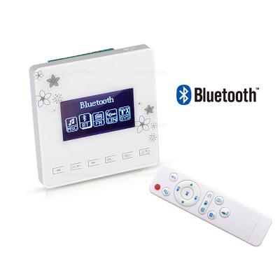 China No Background Bluetooth Smart Home Hotel Audio Powered Mini Music Player On Wall Amplifier for sale