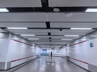 Chine Carreaux de plafond de gare de métal perforé à vendre