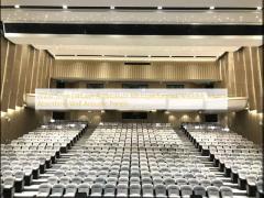 2/2/0.5mm Diffuser Auditorium Microperforated Wooden Sound Absorbing Wall Acoustic Panels