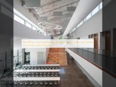 RAL White Ceiling Baffles Wood Wool Cement Acoustic Panels Sound Absorption Board