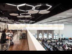 RAL Black Ceiling Baffles Wood Wool Cement Acoustic Panels Sound Absorption Board