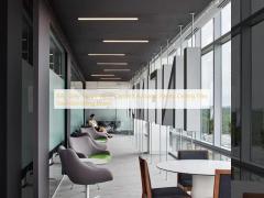 RAL Grey Wood Wool Cement Acoustic Panels Ceiling Tiles Soundproofing Board