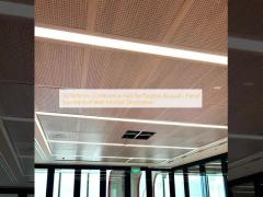 16/16/6mm  Conference Hall Perforated Acoustic Panel Soundproof Wall Interior Decorative