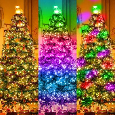 China Any Magical Leather LED Control Holiday Wholesale APP String Lights RGB Christmas Wire USB Decorative Lights String for sale