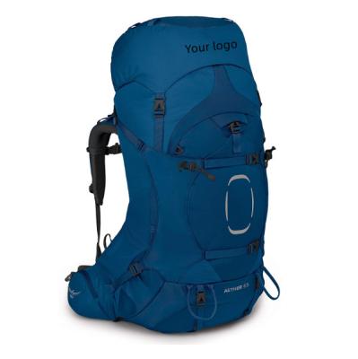 China Factory Price Waterproof Outdoor Backpack OEM for sale