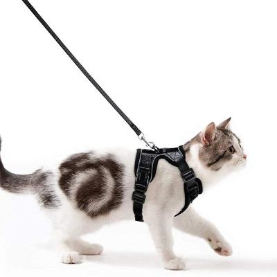 China Designer Padded Glitter Cat Leash And Harness Set Cat Chest Leash Cat Belt With Leash for sale