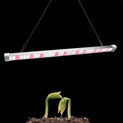 China Seed Starting 2021 Best Full Spectrum Hydroponics Led Grow Light Bar 40w 80w Led Grow Light for sale